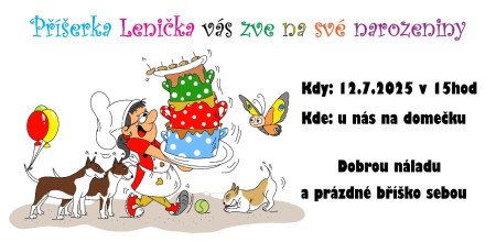 pozvánka na oslavu narozenin